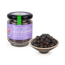 Freeze-Dried Organic Blueberries in bowl